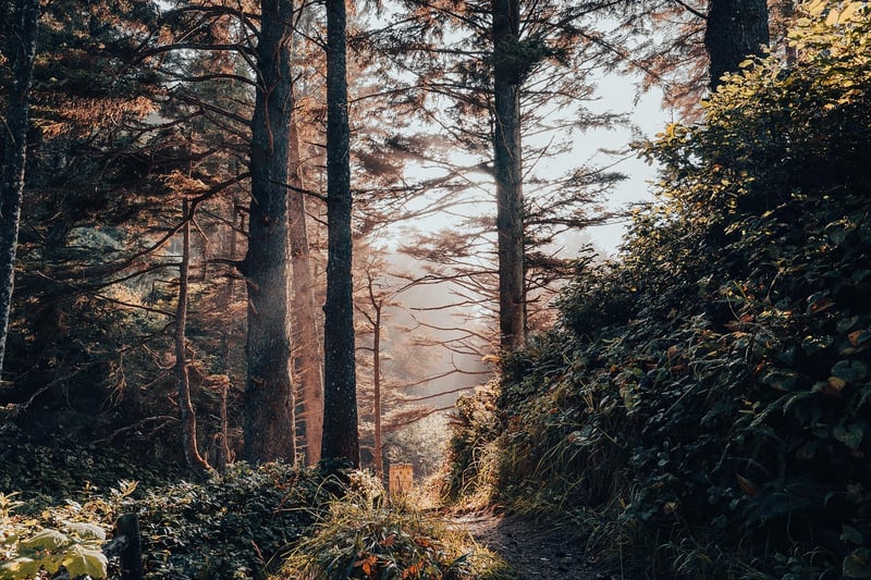 Exploration Trails